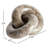 Sierra LINKED MARBLE RINGS SCULPTURE