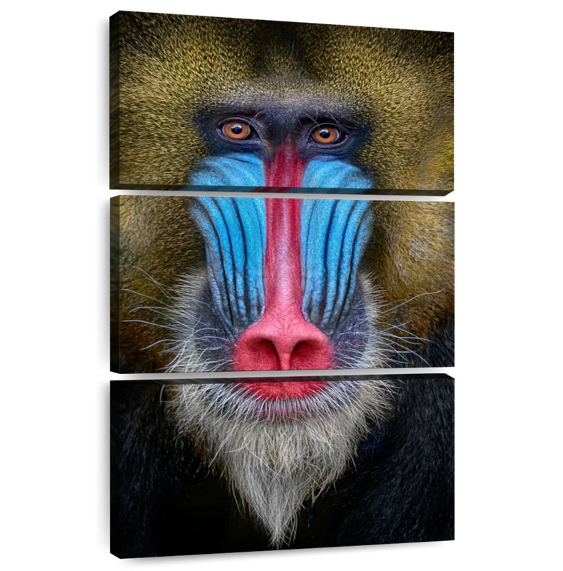 Mandrill Monkey, 57" H x 36" W