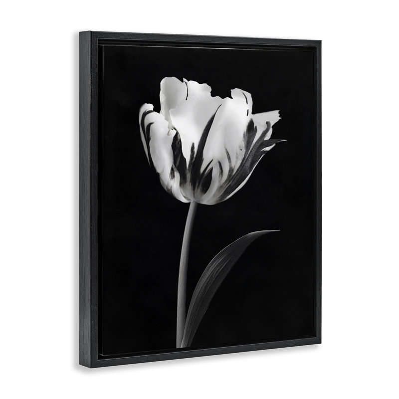 Cadre flottant noir Modern Flower Stark, design par CAD Designs, H 21 po x l 17 po, Cadre flottant noir de jais