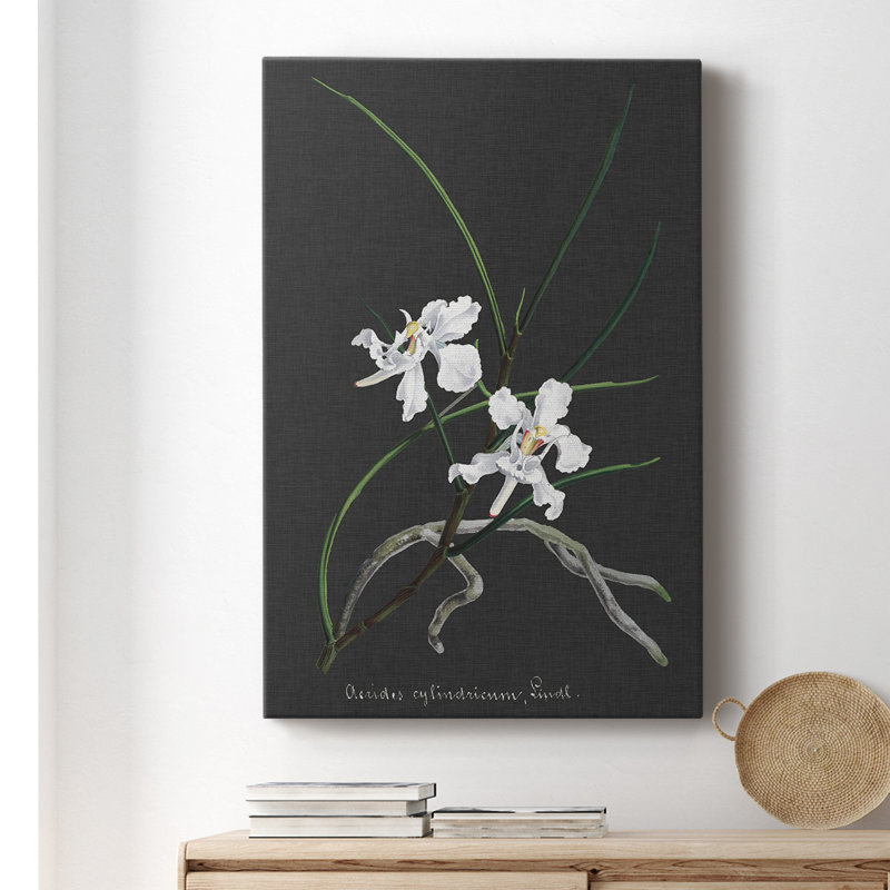 Orchidée sur ardoise II - impression sur toile tendue, H 36 po x l 24 po x P 1,5 po