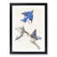 Bluebirds by John Audubon - Picture Frame Painting Print-55544288-55544291