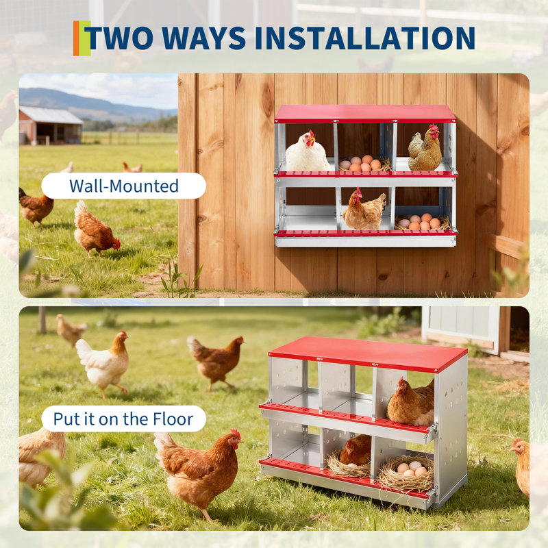 Boîte de nidification pour poulets en acier galvanisé à 6 compartiments, boîte antichoc avec couvercle, boîte de nidification Auto Egg Collection pour poules et canards