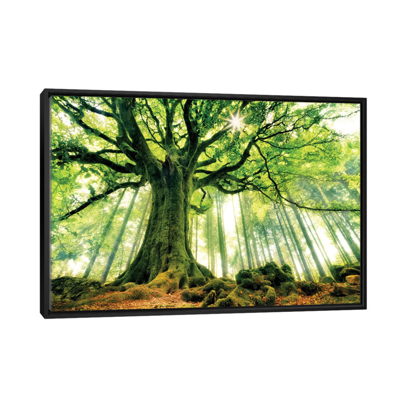 «Ponthus», reproduction de photo sur toile tendue, H 18 po x l 26 po x P 1,5 po, Toile encadrée noire, Pas de tapis