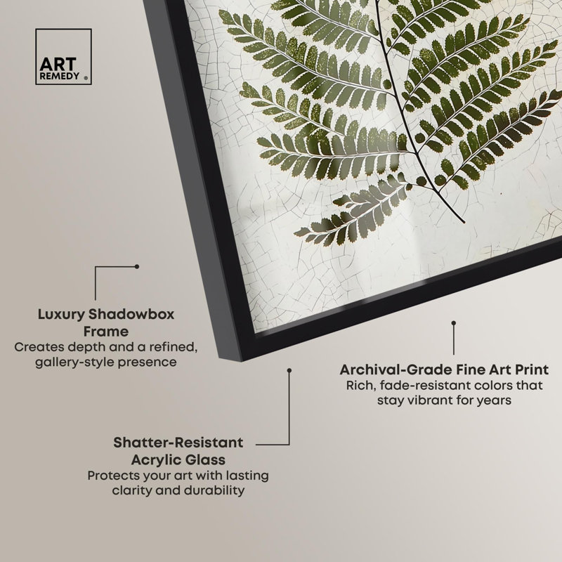 «Time's Imprint II», reproduction botanique par Art Remedy, Noir, H 16 po x l 11 po