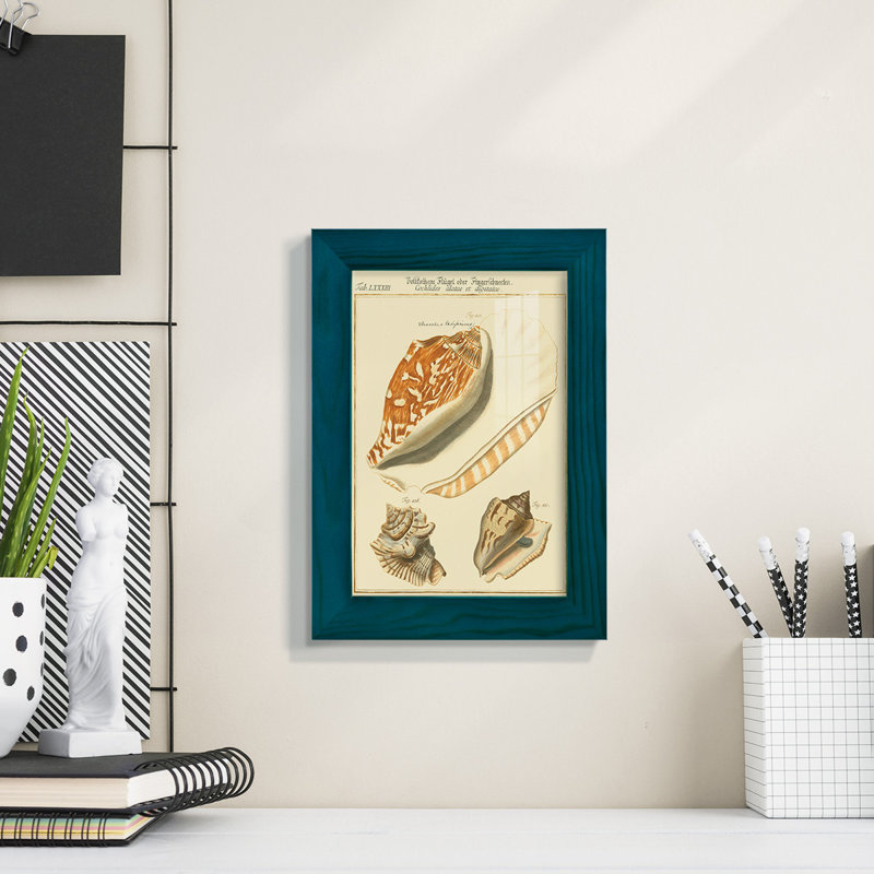 Coquilles de martini antique III sur papier, Bleu, H 6 po x l 4 po x P 1 po