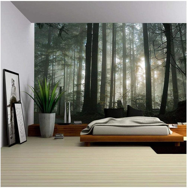 Forest Nature Landscape Peel & Stick Clear Border, 100" L x 144" W