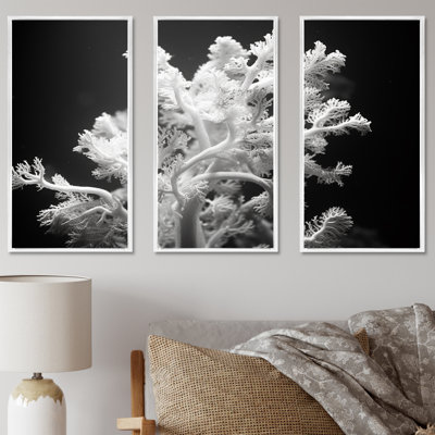 «Black and White Coral Plant I - Coastal Coral Under Water», art mural sur toile