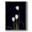 «Tulip Pose III», reproduction encadrée - bois massif 48156-620425509
