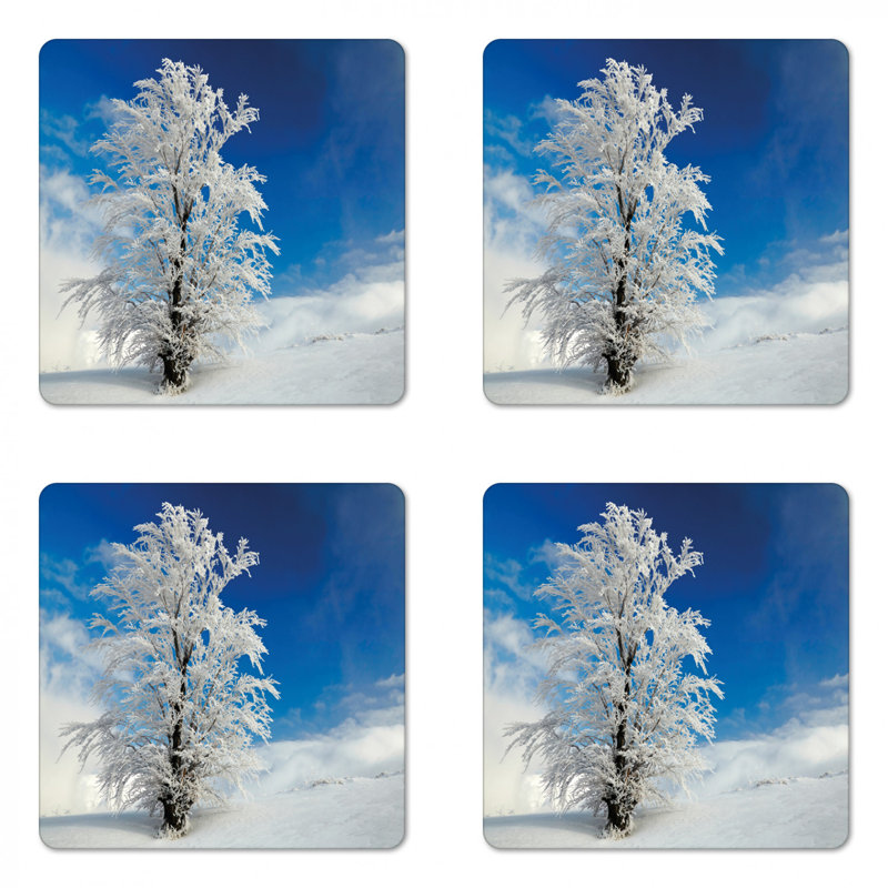 Square 4 Piece Coaster Set