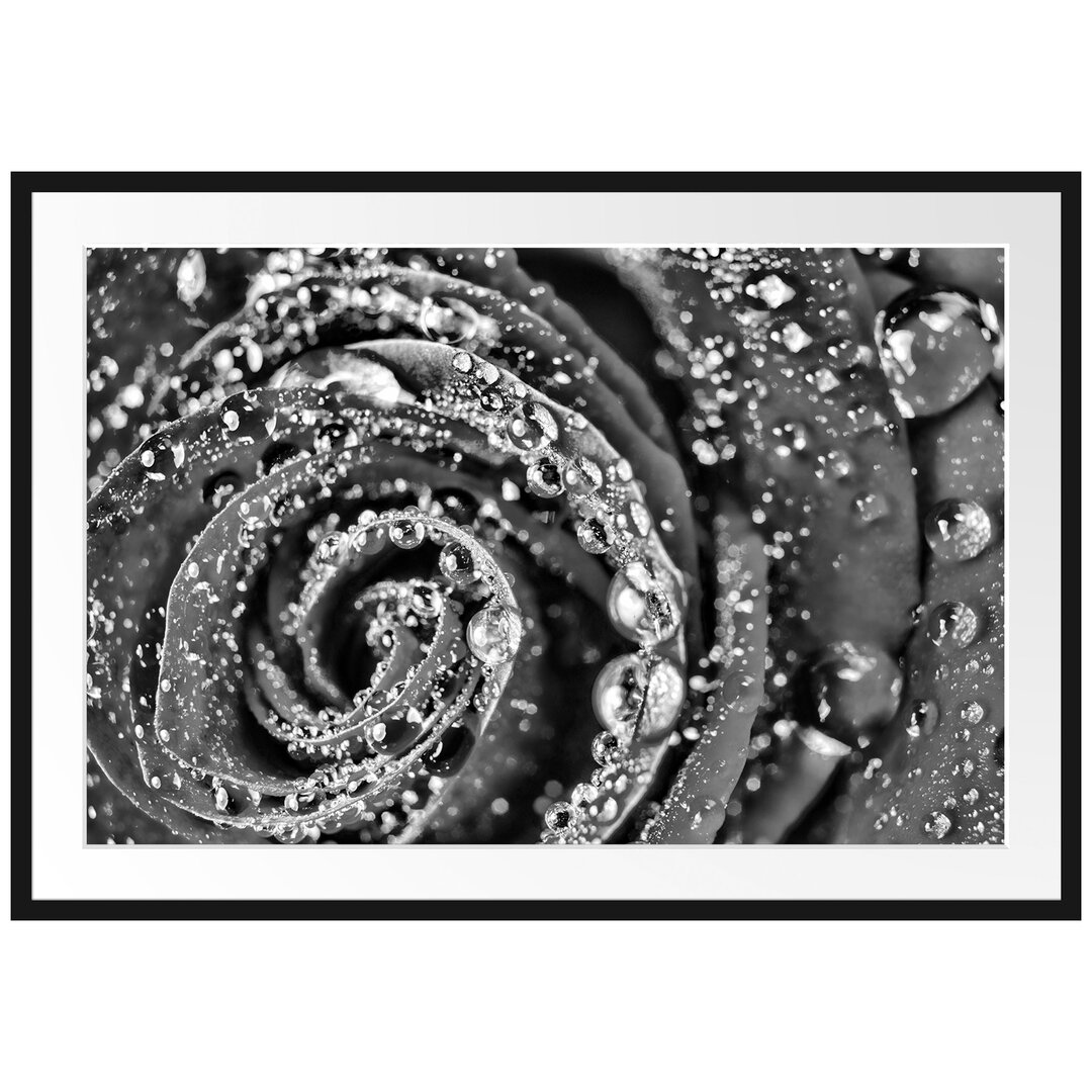 Gerahmtes Poster Elegante Rose mit Wassertropfen