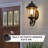 Navona Wall Light