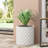 PLANTER
