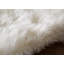 Shuler Solid Colour Shag Area Rug-38747456