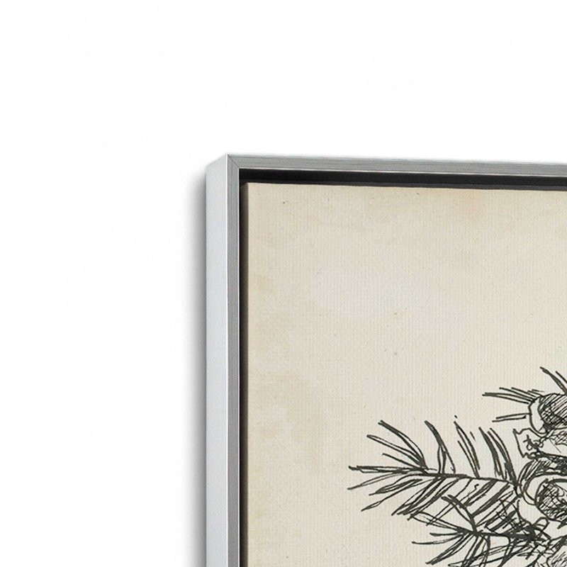«Christmas Conifers II» par Ethan Harper, reproduction d'art sur toile, H 8 po x l 12 po, Argent argent