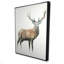 Deer Print On Canvas
