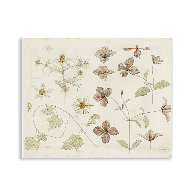 Plaque murale Nature Botanical Study, design par Julie de Graag