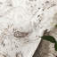 Bianka Sateen Pillow Case-240369939
