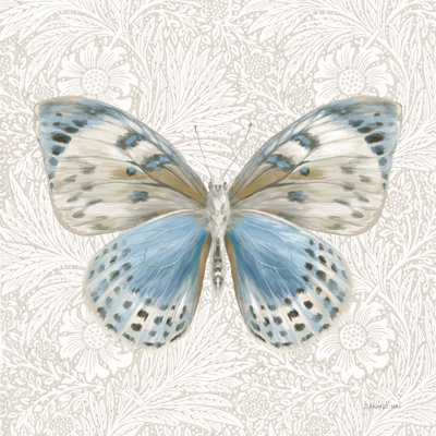 Beetles and Butterflies IV par Danhui Nai