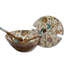 Gracie Oaks Bourbonnais Wood Serving Bowl