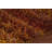 Dorothy Performance Striped Rug-24415514