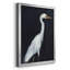 Calm Great Egret II - impression d'un seul cadre photo-1357522965-1357522963