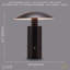 Metal USB Desk Lamp