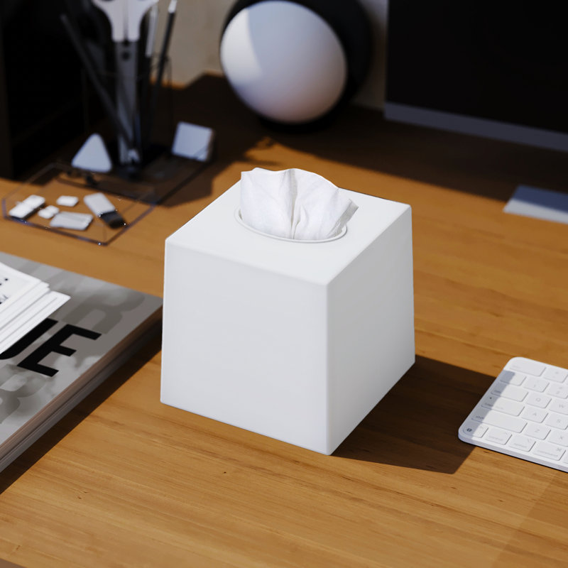 Porte-couvercle en plastique pour boîte à mouchoirs, Blanc