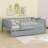 Daybed With Trundle And Fence Guardrails-715363291