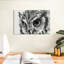 Hibou Brampt-107680013