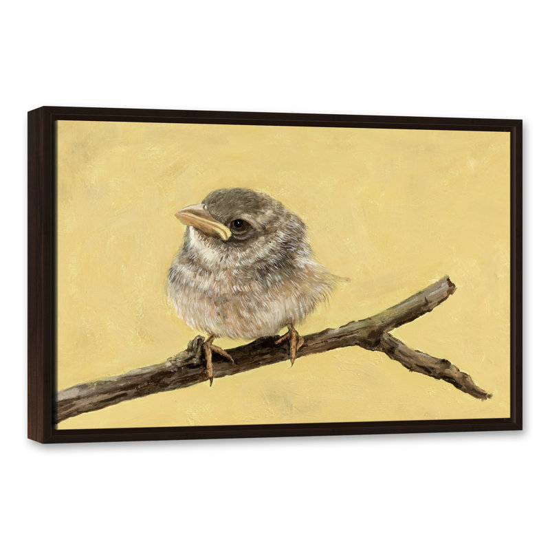 Petit oiseau - reproduction sur toile tendue, 20 po x 30 p, Encadré