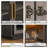 Errik 64'' Sideboard with Ample Storage Capacity-921652892