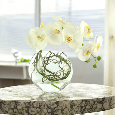 Whisman Orchid Arrangement in Round Glass Vase with Vines