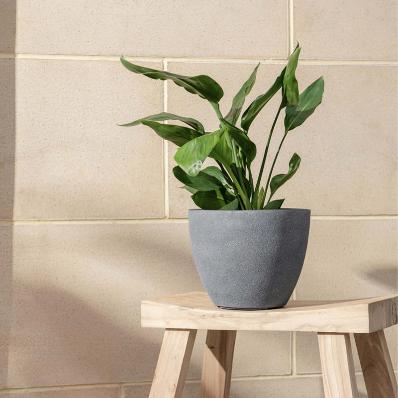 Nova Planter, Blue