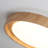 Round LED Flush Mount -19.68 Inch-655534277