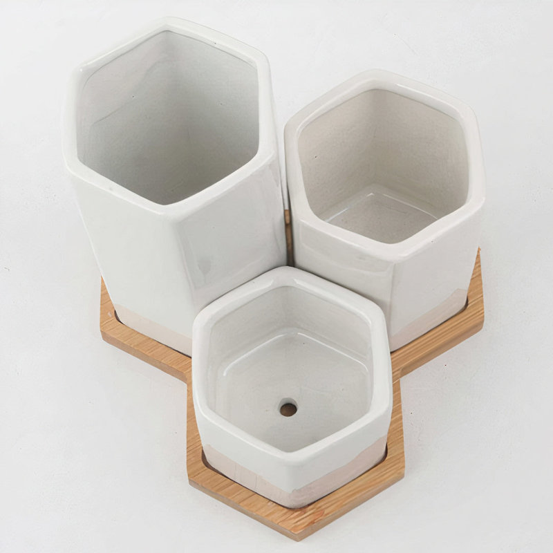 Jhasmine Ceramic Pot Planter