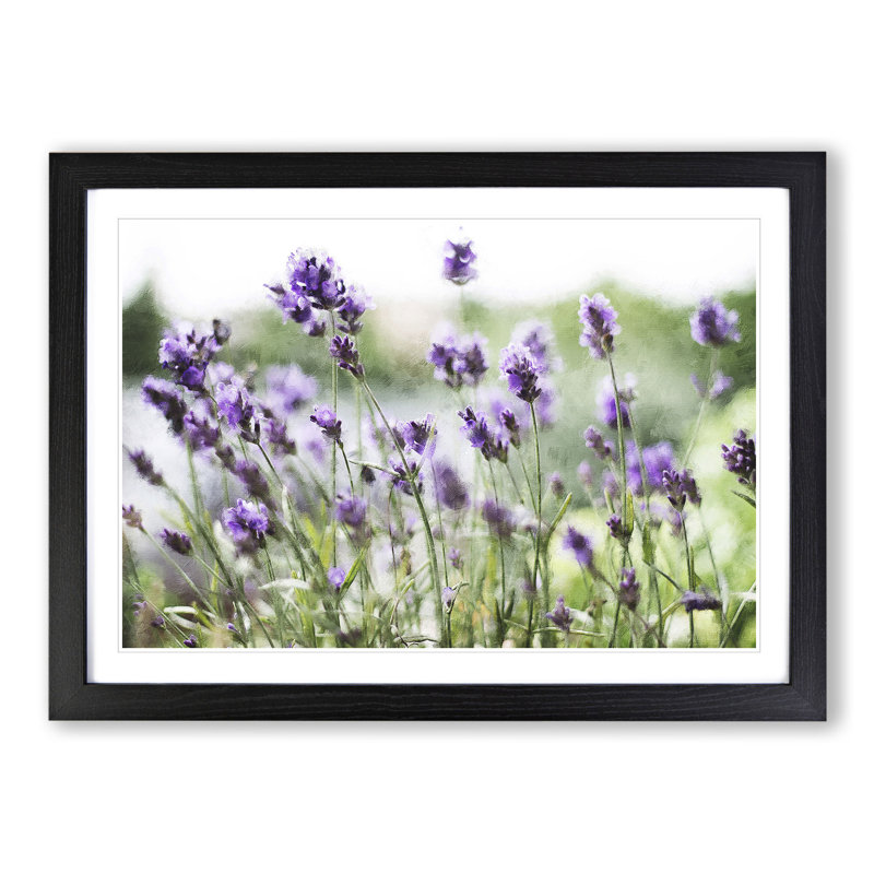 Lavender Vol.1 - Picture Frame Painting, 36cm H x 48cm W x 2cm D, Black Framed