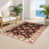 Rectangle 2' x 3' selected