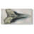 Watercolor Sharks Tooth III- Gallery Wrapped Canvas -Ready to Hang-1807688564