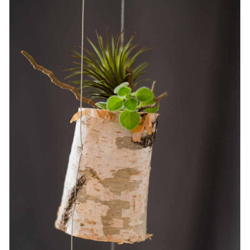 Upper Vobster Handmade Wood Wall Planter, 3.9" H x 3.2" W x 3.2" D