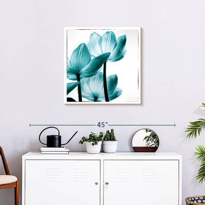 Tulipes Harnek translucides II