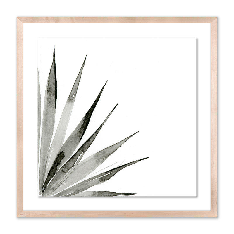 Agave II Print by Jess Engle, 24" H x 24" W x 1.5" D, Natural