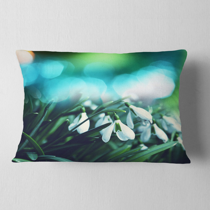 Coussin Schafer