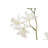 20.5" Artificial White Orchid in Vanda Pot
