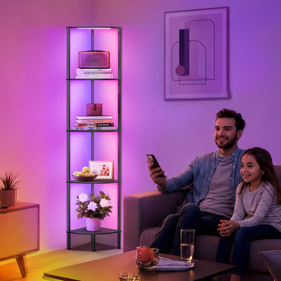 Lampe sur pied 67 "avec lumières DEL, télécommande tactile, température de couleur 3, haut gradable