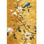 Papier peint floral, oiseaux magnolias