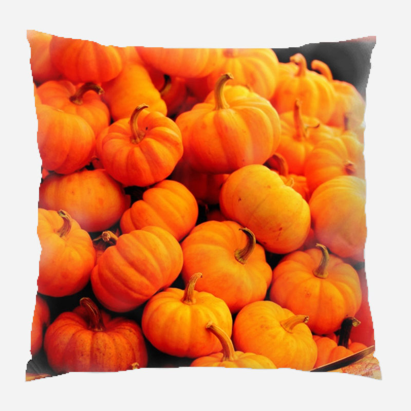 Outdoor Reversible Throw Pillow