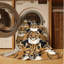 Tapis lavable Caracal-2060251529