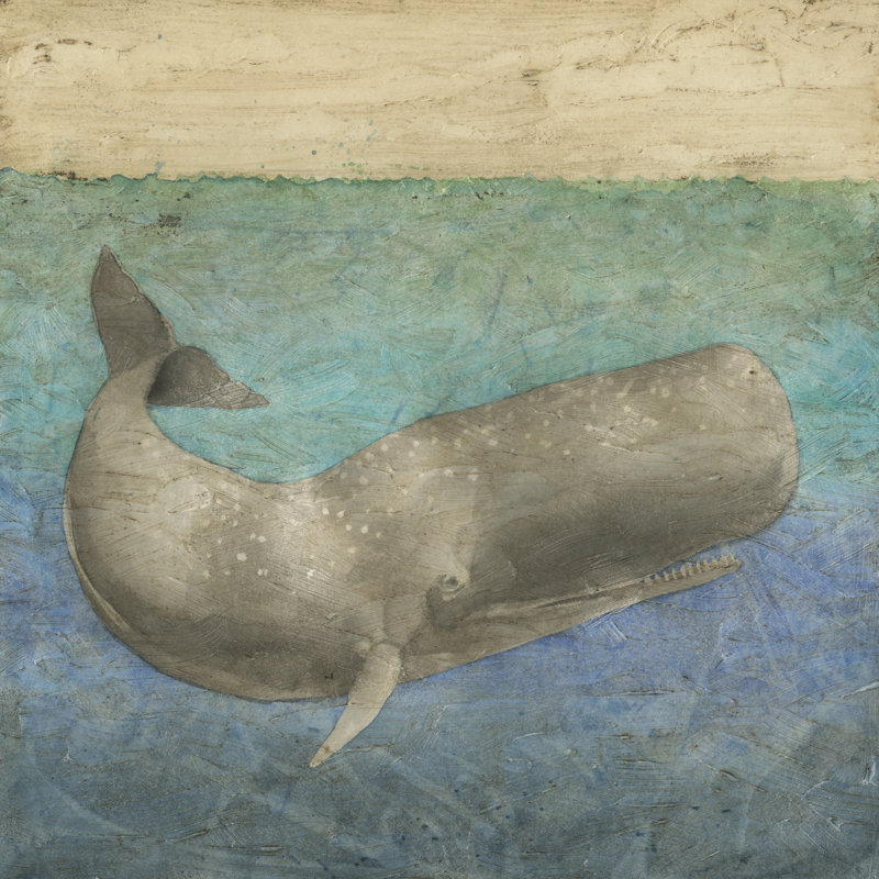 Diving Whale II by Megan Meagher - Wrapped Canvas Painting, 91cm H x 91cm W
