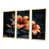 Toile avec cadre flottant or