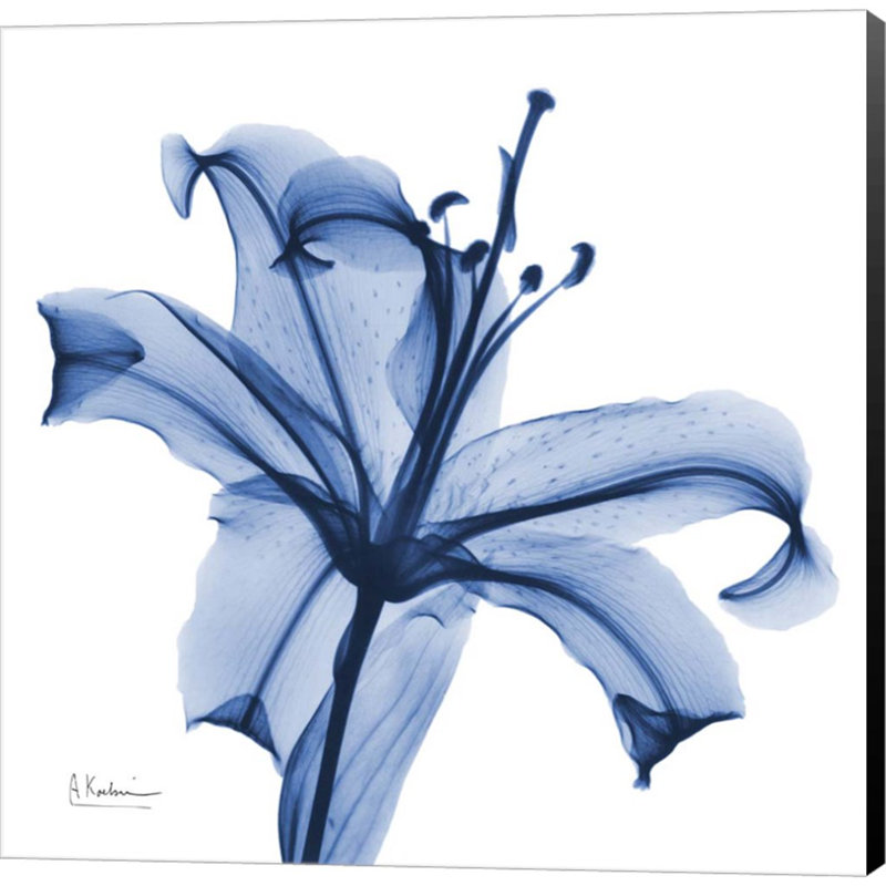 Plants & Flowers Wall Decor on Canvas